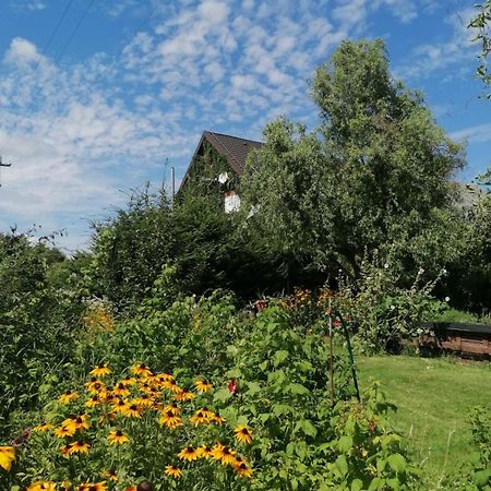 Apartamento Dziewanna Brzeziniec Exterior foto