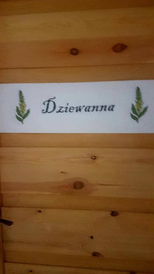 Apartamento Dziewanna Brzeziniec Exterior foto