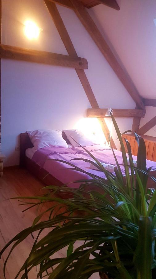 Apartamento Dziewanna Brzeziniec Exterior foto