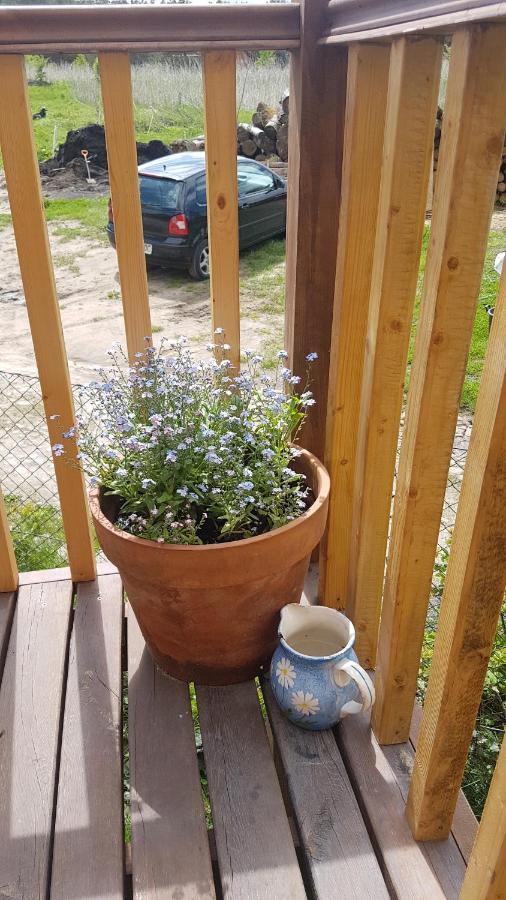 Apartamento Dziewanna Brzeziniec Exterior foto
