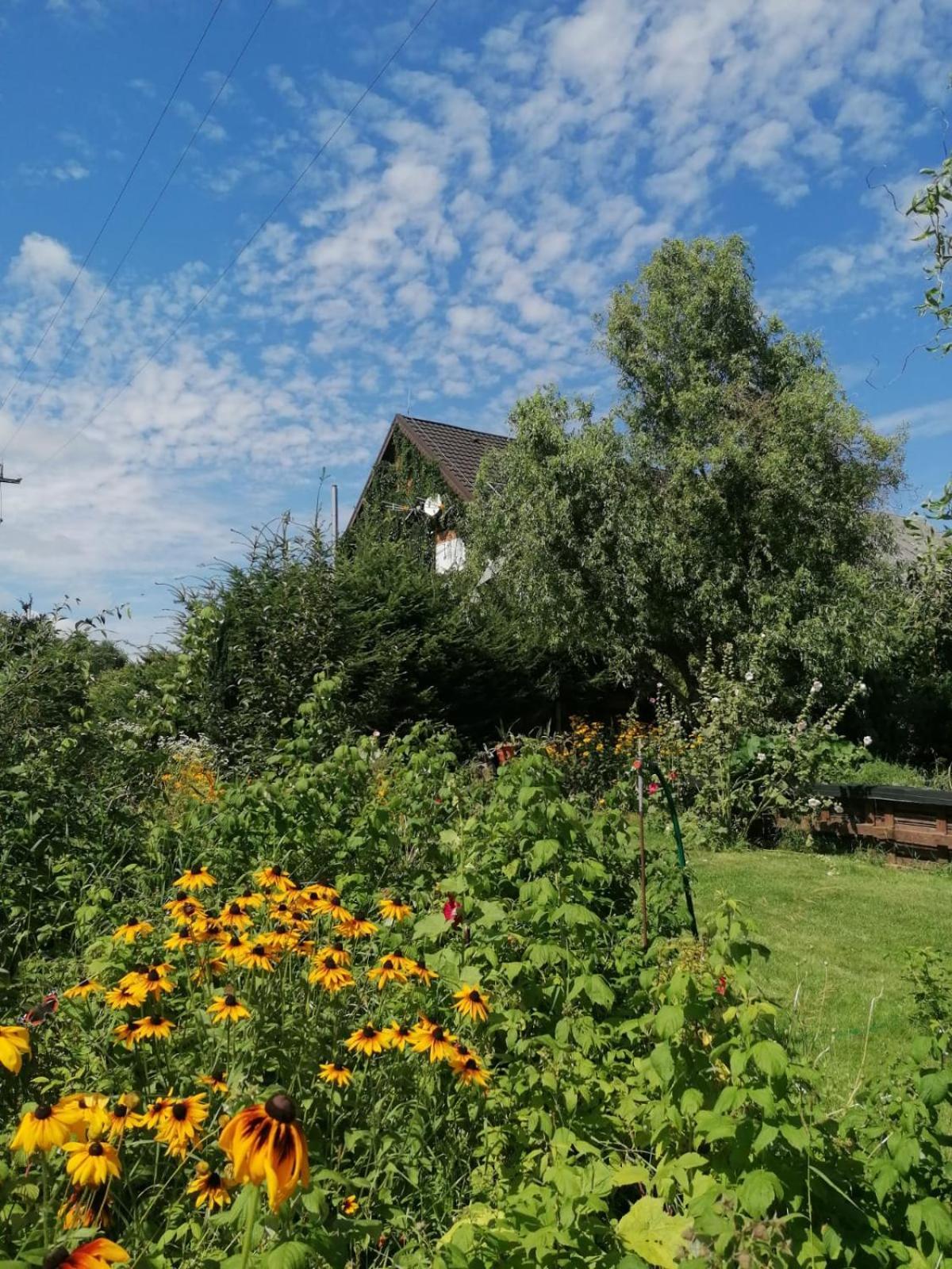 Apartamento Dziewanna Brzeziniec Exterior foto